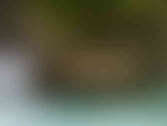 "Rock Waves" -- Vintgar Gorge, Slovenia, JR Photos