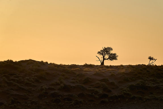 JPEG Quality 100_Namibia-24-09-08-1870.jpg