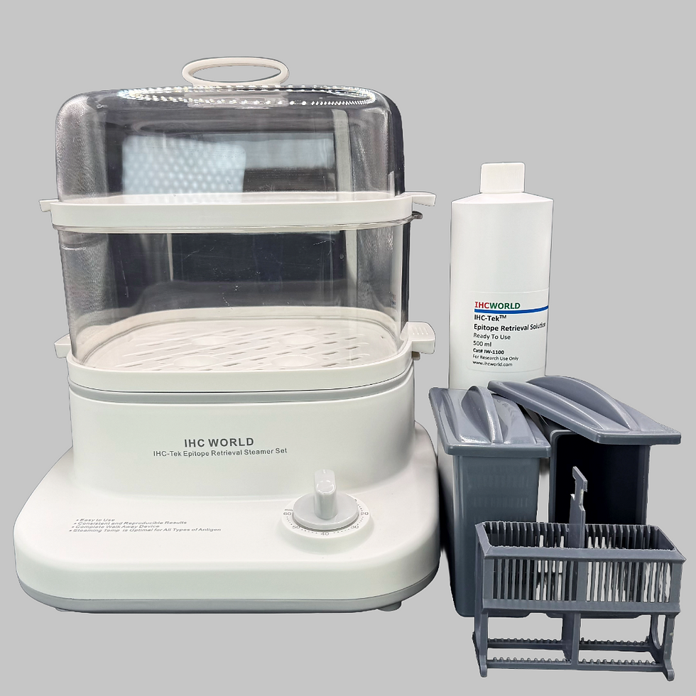 IHC Steamer Set