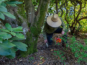 untitled-104.jpg