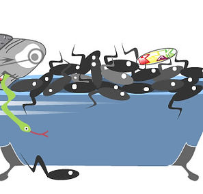 A granny in a bath full of rats.