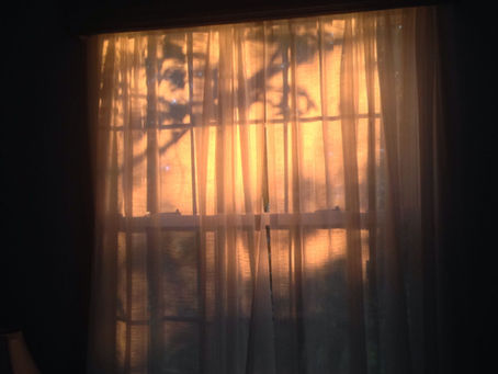 Young Spring Poem - bring on the sunshine, but don't send me to bed early