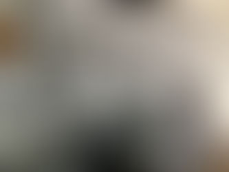 Skellig School Display