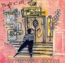 Say Hello, Wave Goodbye