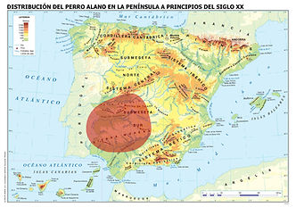 Mapa de distribución del Perro Alano en la Península en el siglo XX