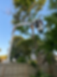 D9464386-CA5D-4780-BC84-6149FFF3C211.heic