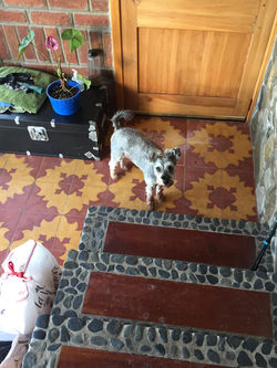 18E6F34D-30B9-40C5-A6C7-24A580CC2FC4