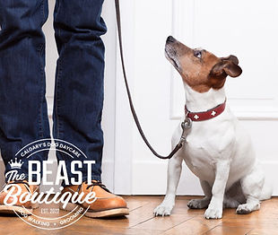 Beast Boutique.jpg