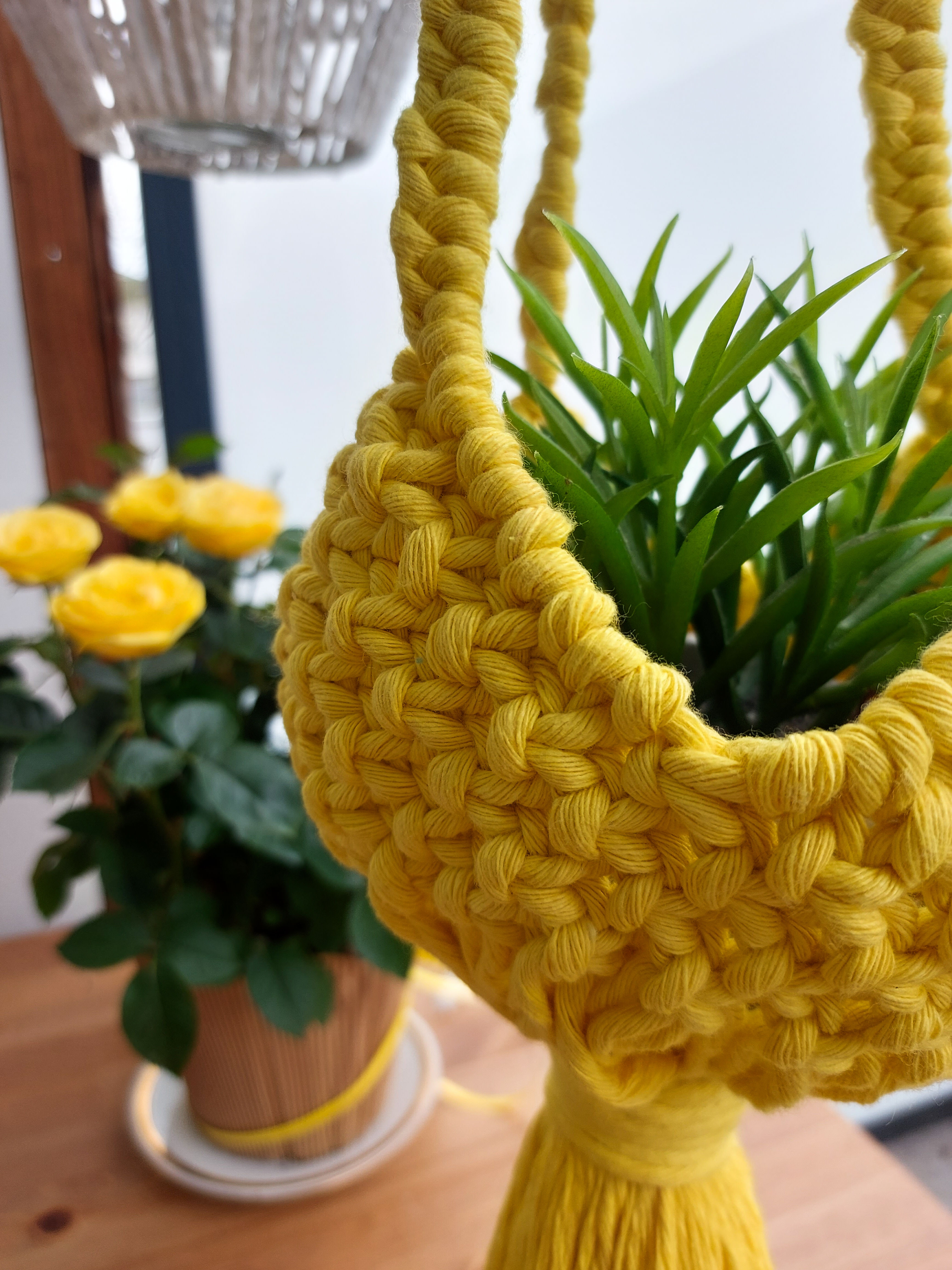 Liane Bohème #1 support de plante suspendu