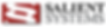 Salient-Systems-High-Res-Logo