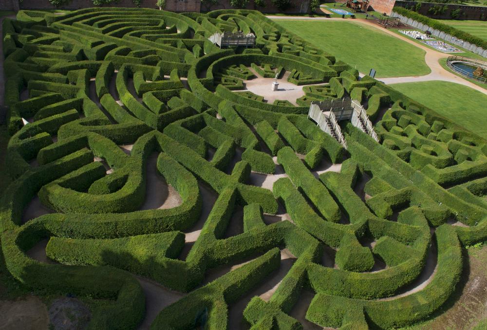 hedge maze party hedge maze party