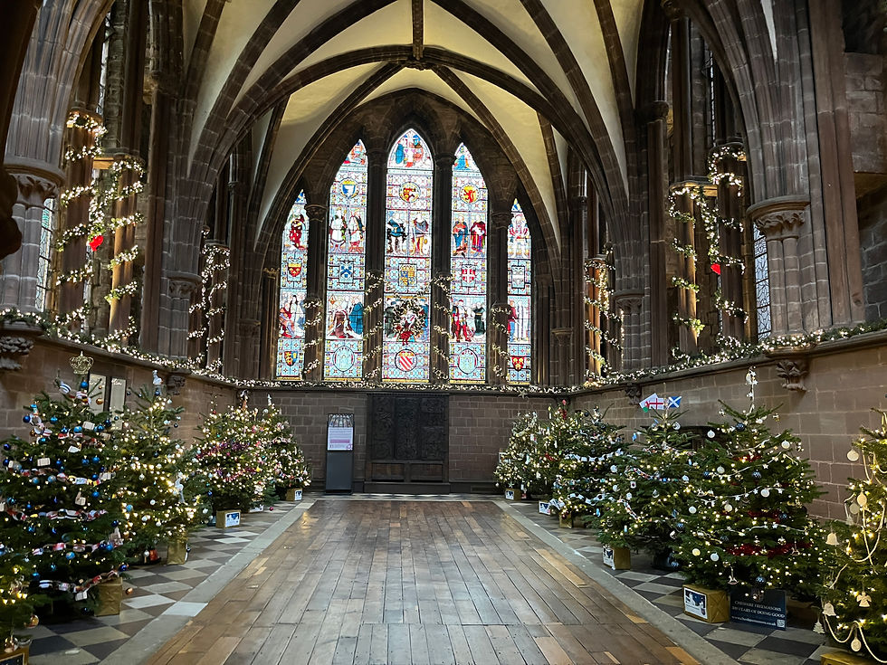 Rows of decorated Christmas trees with lights line a cathedral's interior. Stained glass windows in the background create a festive atmosphere.
