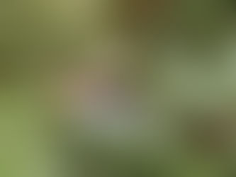 Micro adventures: Budget-friendly ways to explore your city