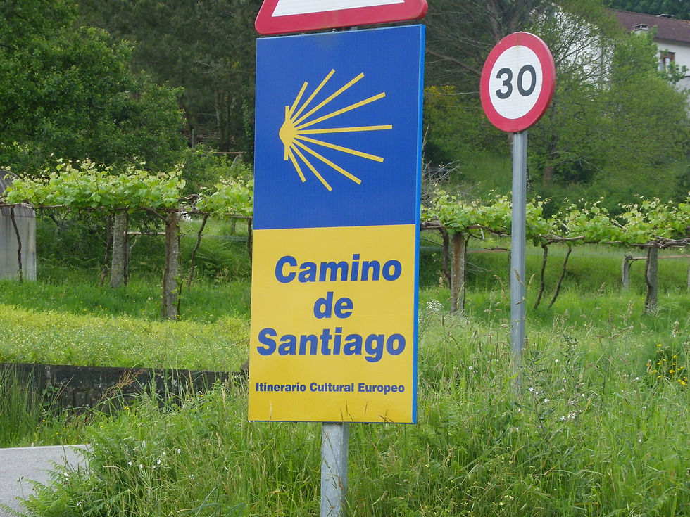 Blue and yellow Camino de Santiago sign with a shell symbol, standing by a road. Speed limit sign (30) nearby, lush green landscape.