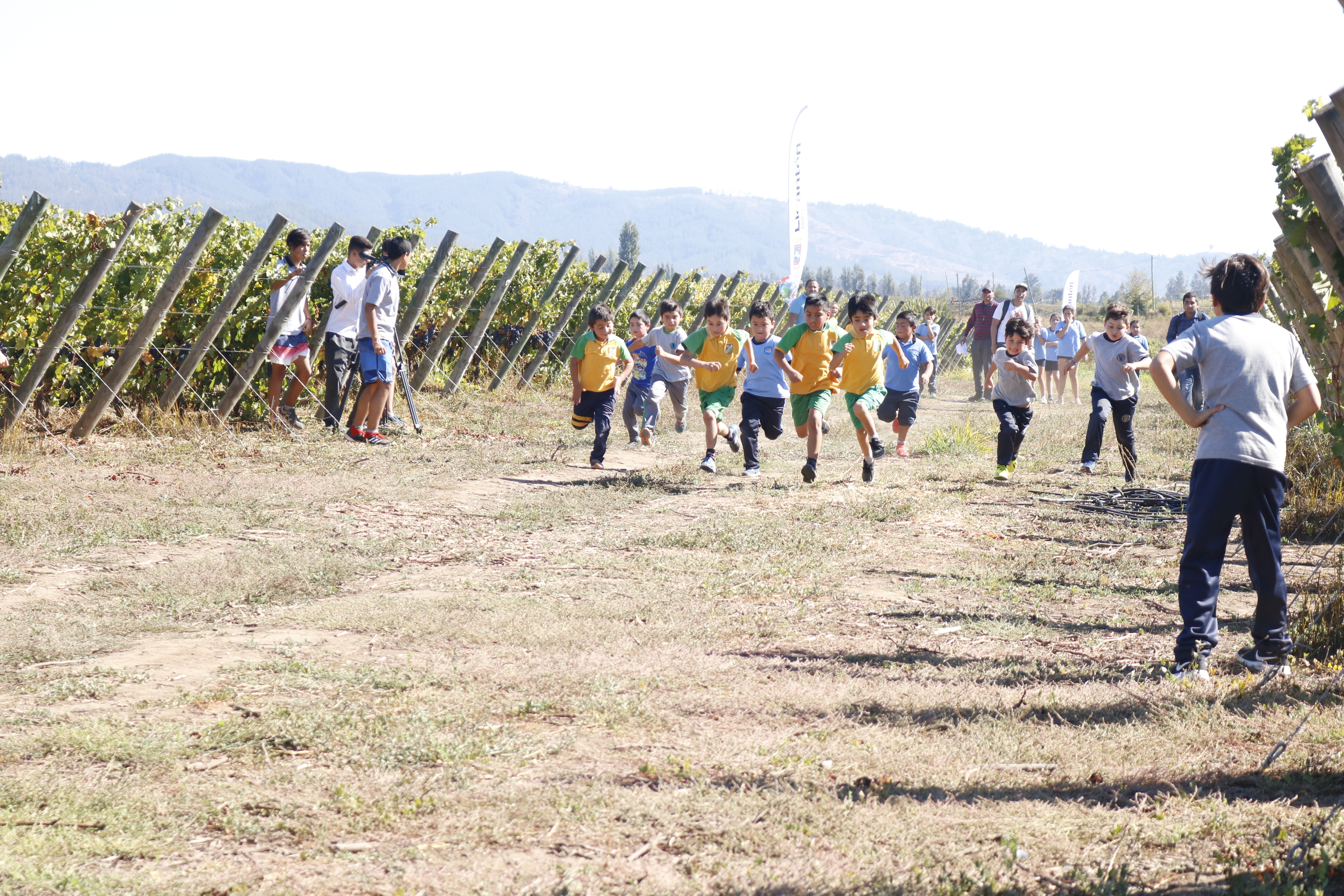 Campeonato Escolar de Cross Country