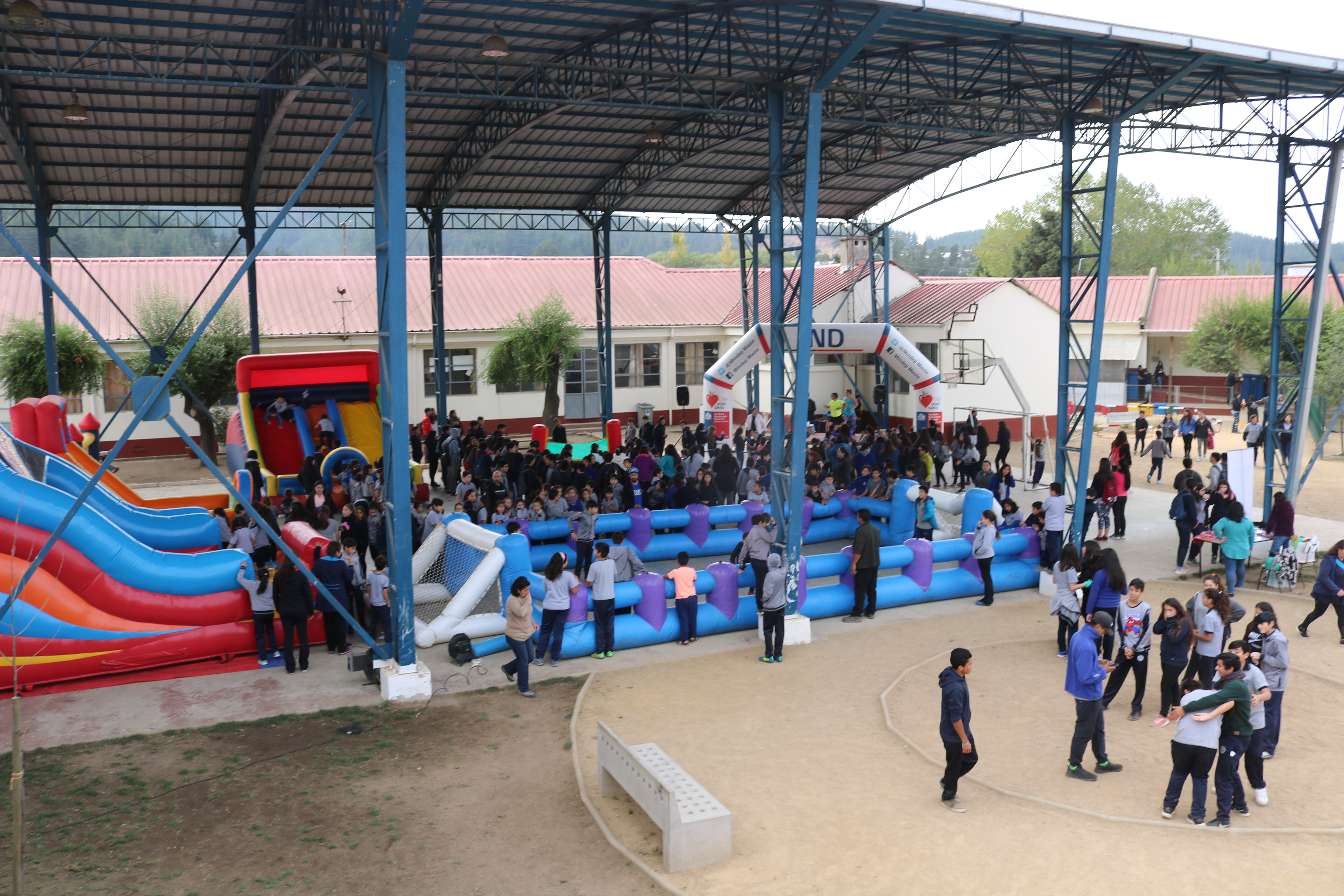 Día de la Actividad Física