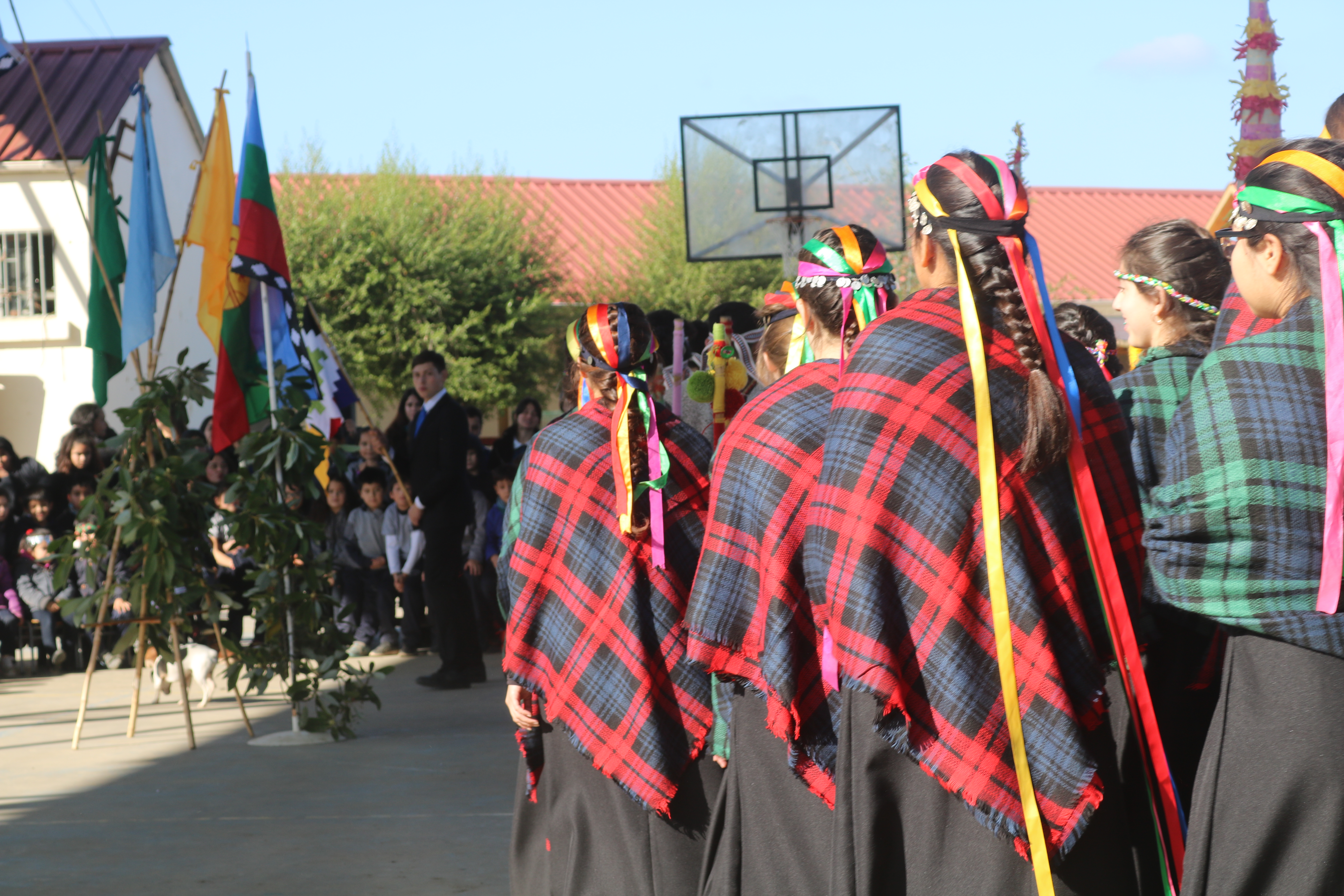 Wetripantu 2019