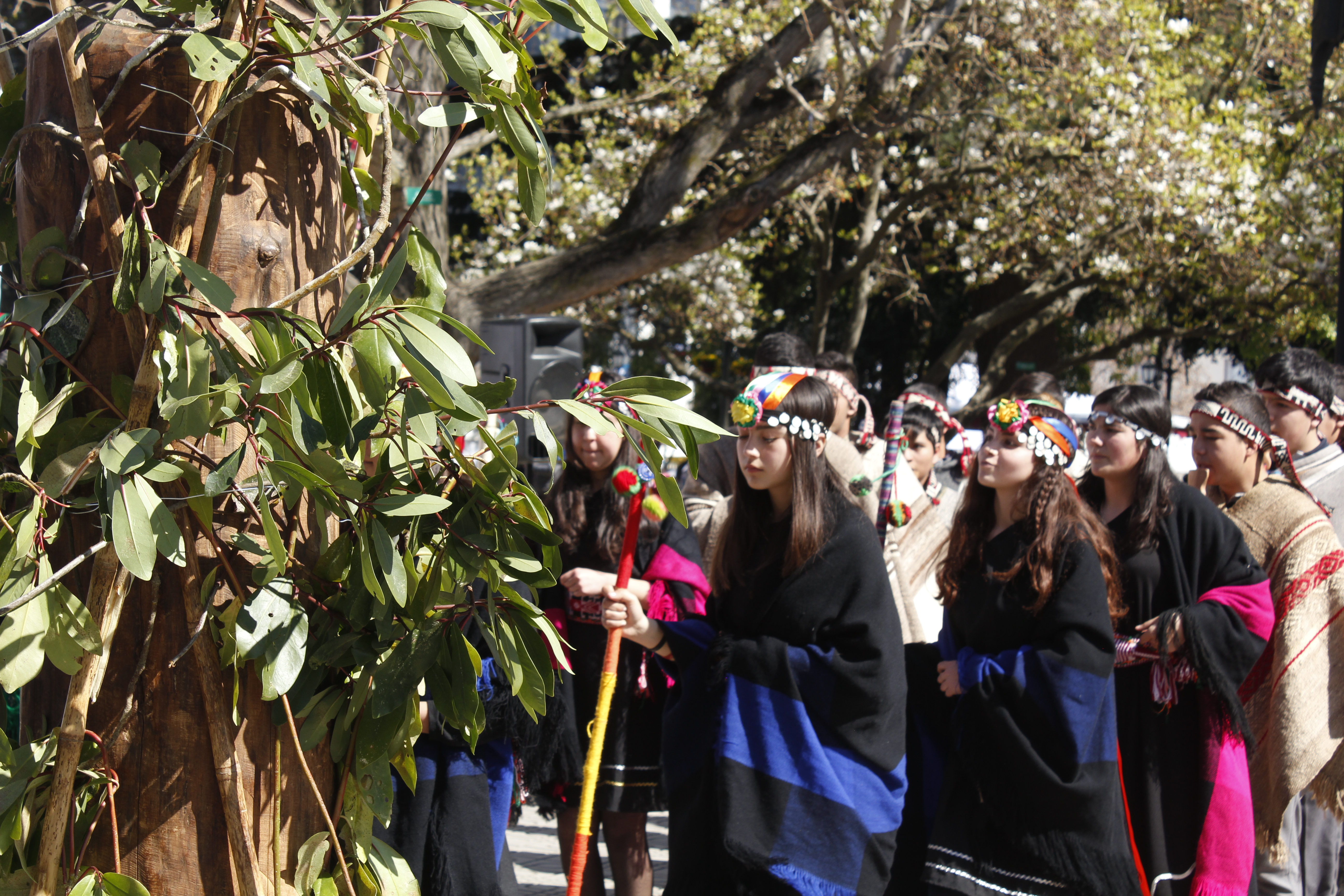 Fiesta del Patrimonio Vivo 2016