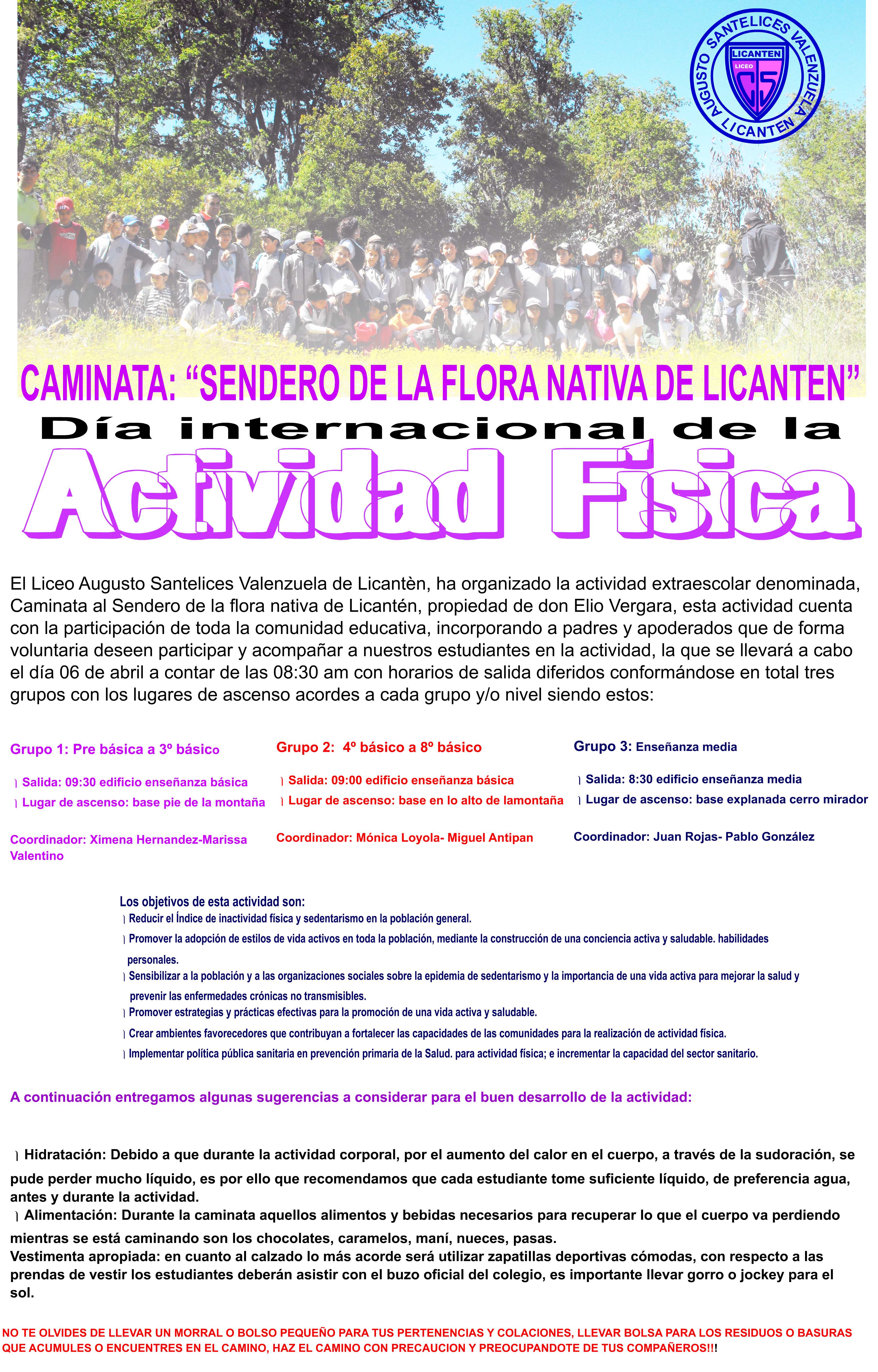 Día de la Actividad Física