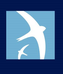 Decorative Swift Conservation logo. 2 white Swift silhouettes fly on a sky blue background.
