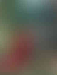 Indian Bengali Bride and Groom. Photo by Nicole Photo Co.