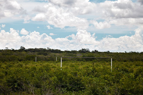 Two goalposts emerging above dense caatinga vegetation, O Jogo, Leandro Martins
