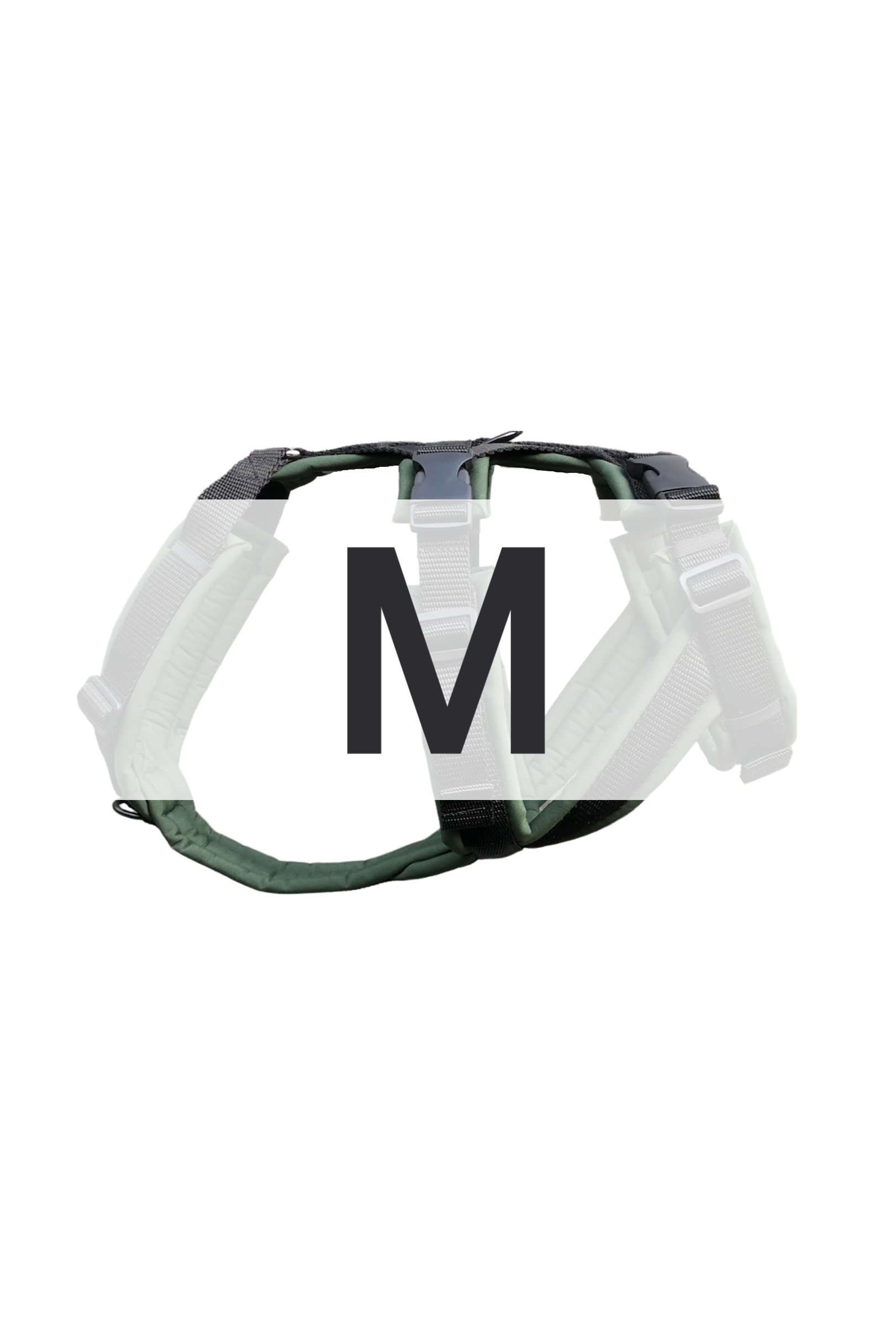 Vinthundssele | THOR | Medium