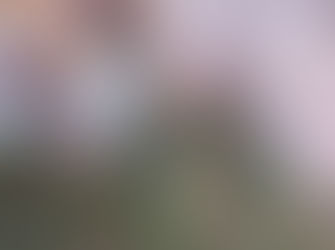 Corpo de homem é encontrado sendo levado por correnteza de rio em Simolândia-GO