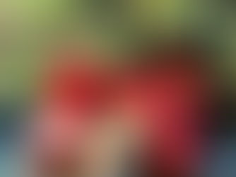 Bombeiros Resgatam Corpo de Homem Afogado no Rio Buriti, em Buritinópolis-GO