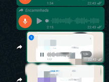 Morador de Posse pede desculpas após enviar áudios ofendendo as forças policiais.