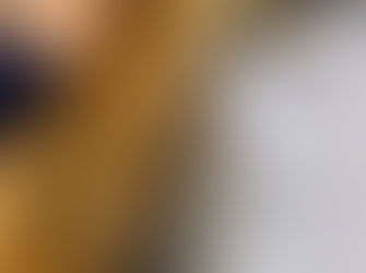 Cachorra é esfaqueada e deixada pendurada em árvore, em Posse-GO