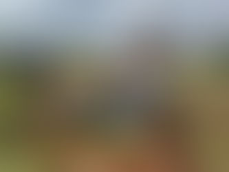 PRF recupera veículo logo após o roubo na BR-020