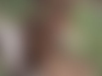 Posse-GO: projeto da prefeitura para nova ponte sobre rio Prata deve ficar pronto em 30 dias