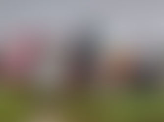 Duas pessoas ficam feridas em capotamento na BR-020