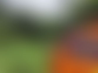 Bombeiros fazem buscas por morador de Iaciara-GO desaparecido há 6 dias