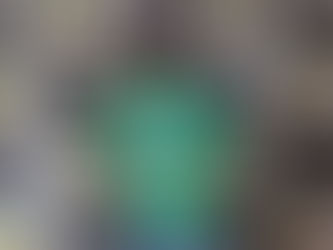 Funcionário é preso suspeito de furtar mercadorias de loja de materiais de construção em Posse-GO