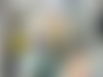 Mulher é presa suspeita de usar salão de beleza para traficar drogas, em Campos Belos