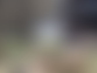 some sheep in a farmyard looking at the camera