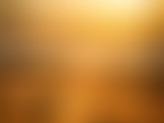 a person standing in a farm field at sunset