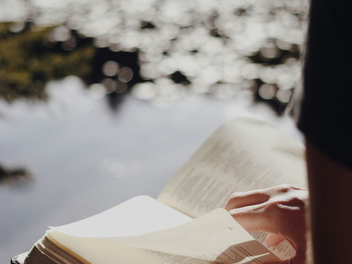 a person reading the bible by some water, in the sunligh