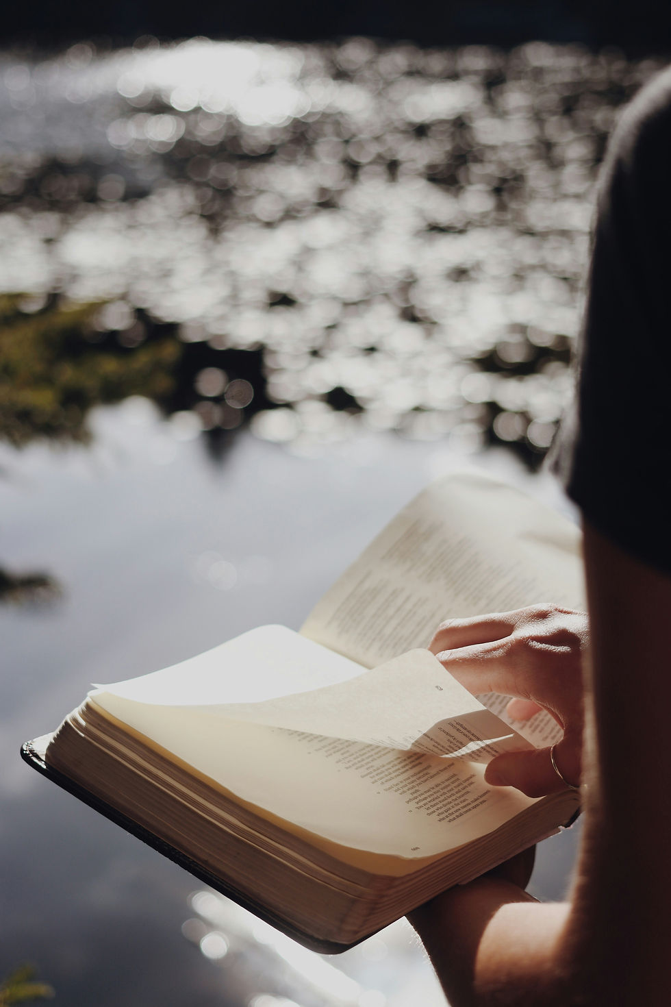 a person reading the bible by some water, in the sunligh