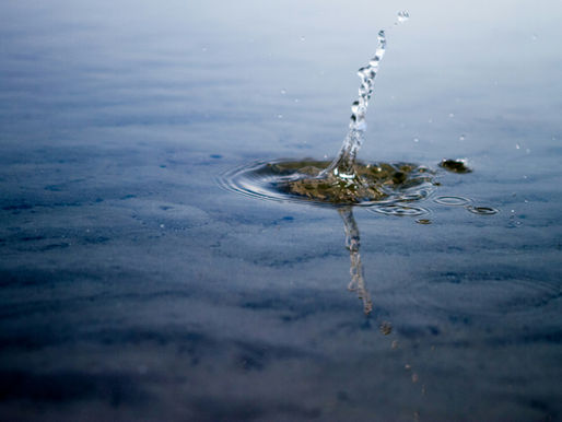 a splash of water on a pond