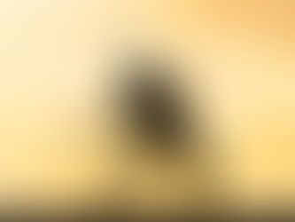 a woman with long hair in silloette bending backwards