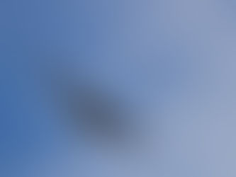 a Bald Eagle soaring in a blue sky