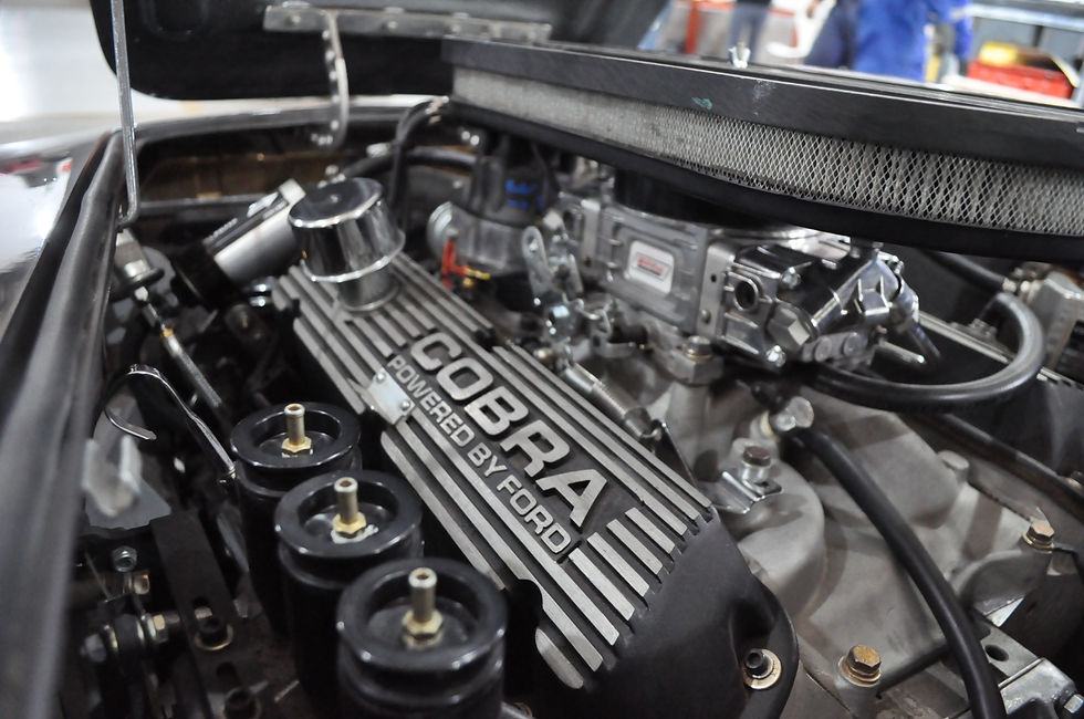 Miniatura: Cobra Motorsport