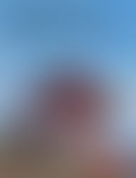 Scholar's Review 13: Rifts World Book 9 (South America 2)