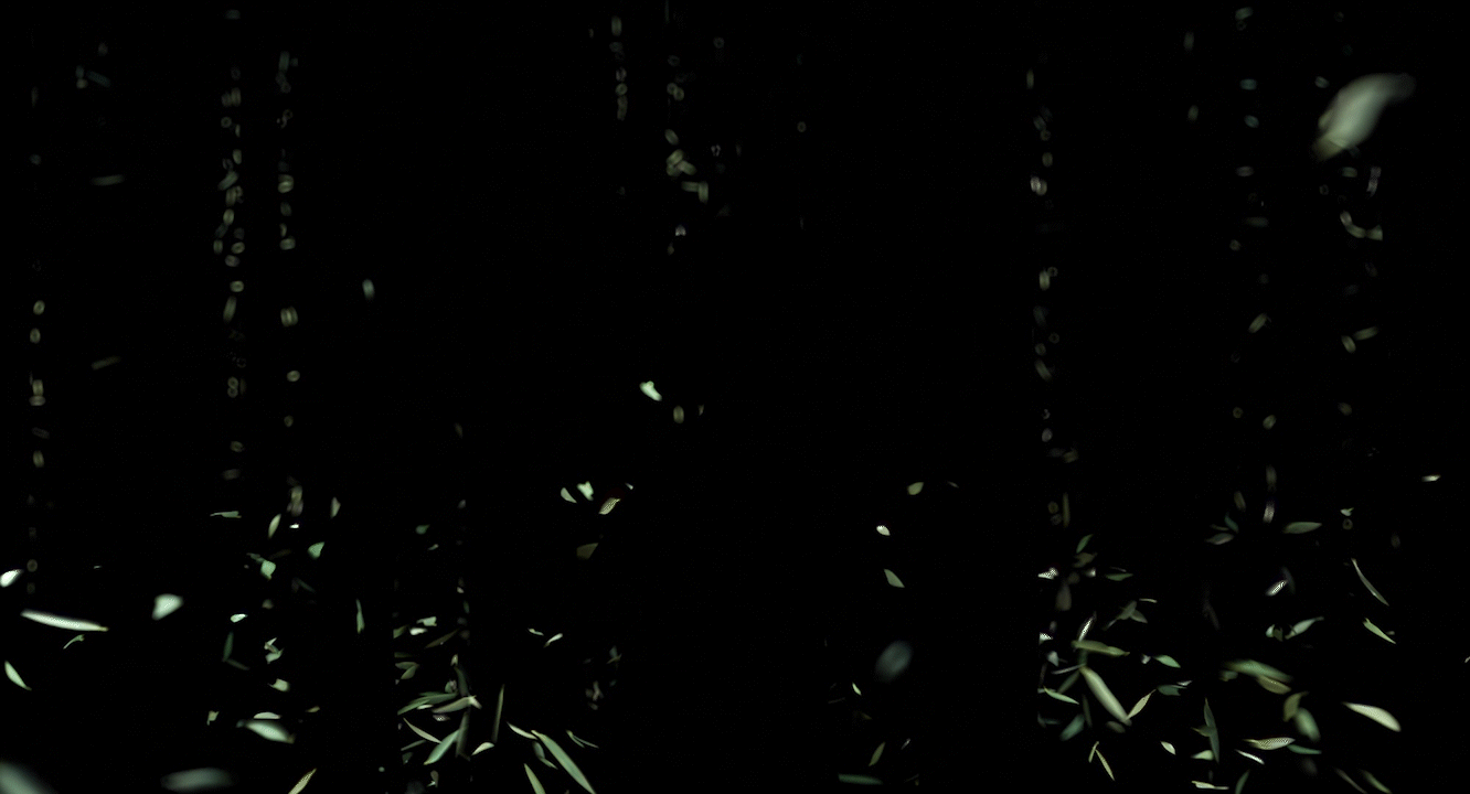 r565_205e.gif