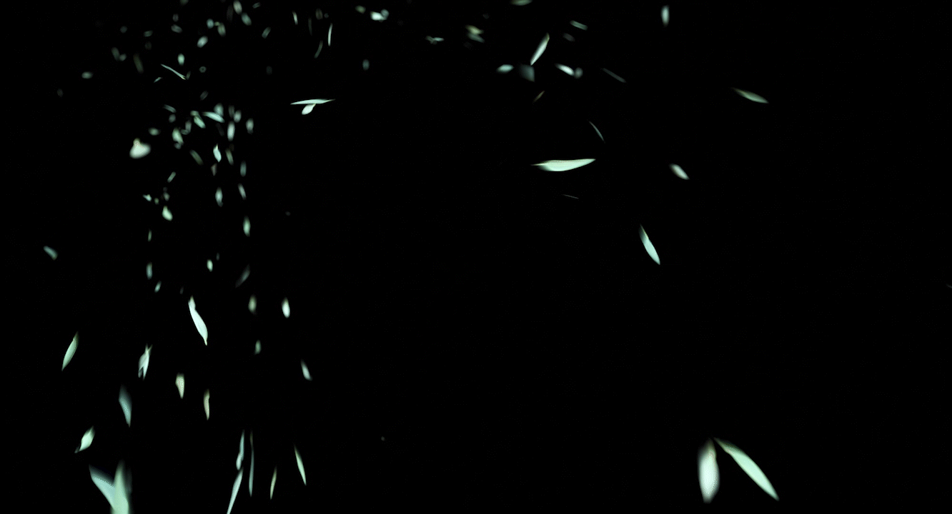 r565_213f.gif