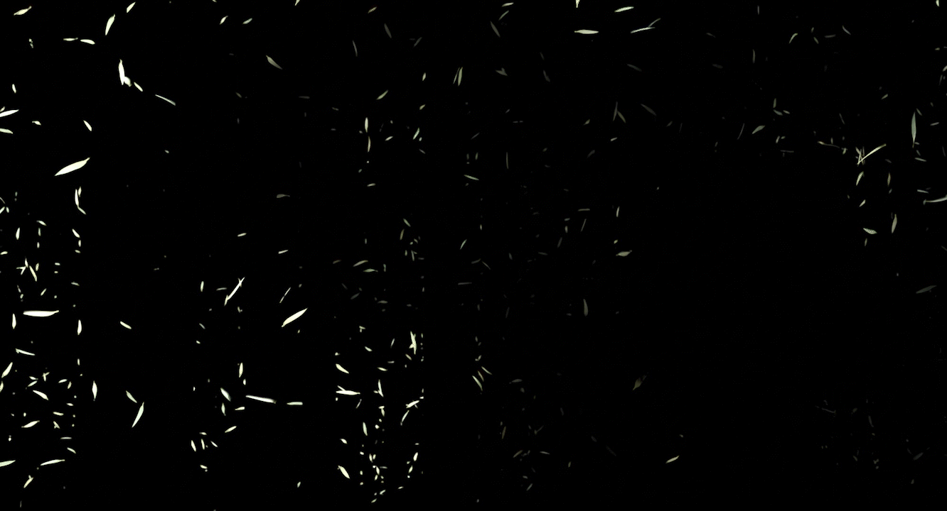 r780_52a.gif