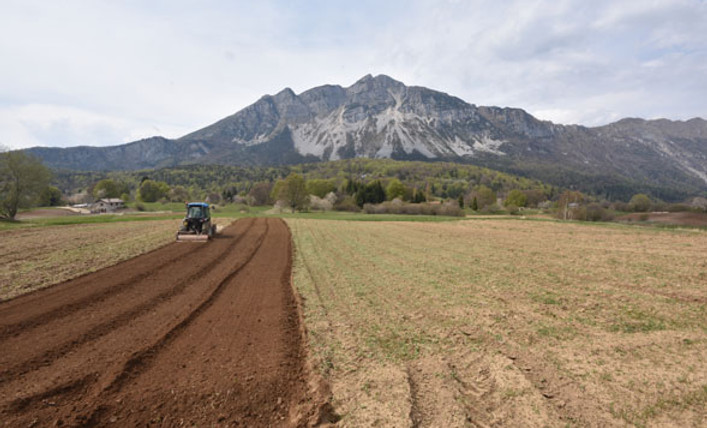 Consorzio Ortofrutticolo Val di Gresta